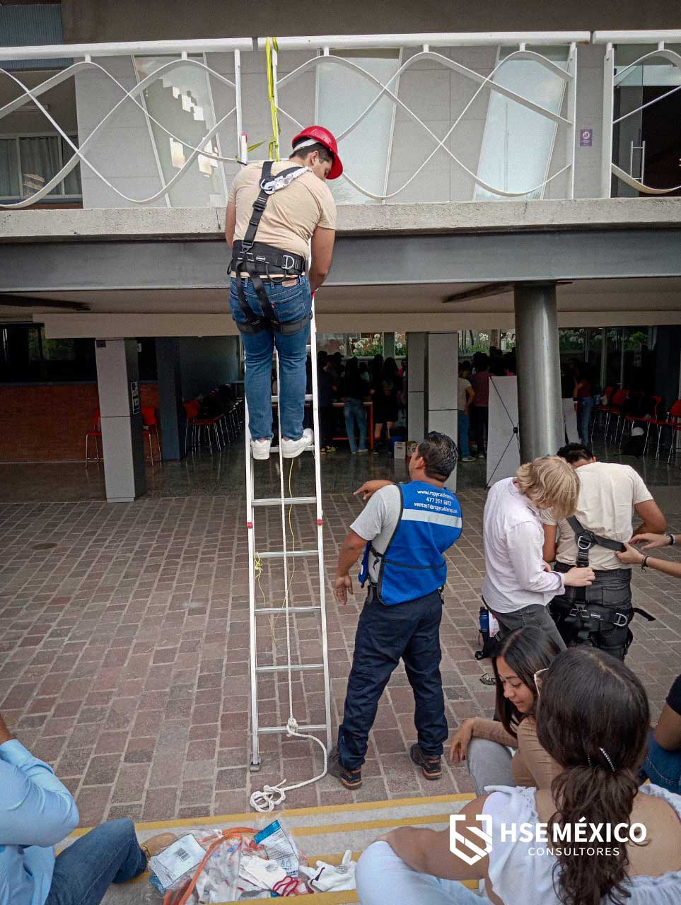 HSE Mexico consultoes
